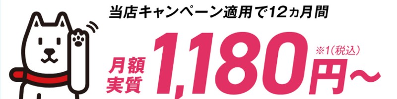 �t���b�c���������\�t�g�o���N���I�ySoftBank ���z���T�C�g